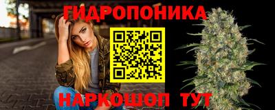 дживик Ирбит
